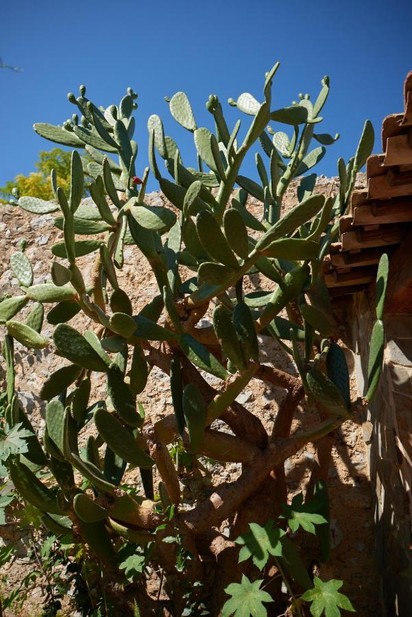 La PalmeJardin De Palme公寓 外观 照片