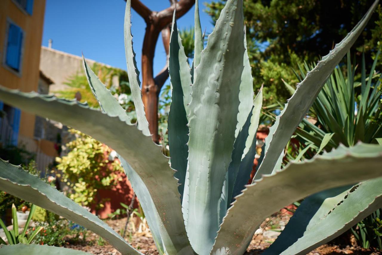 La PalmeJardin De Palme公寓 外观 照片